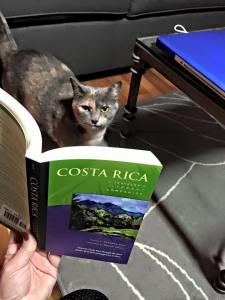 Bean is already doing some research.